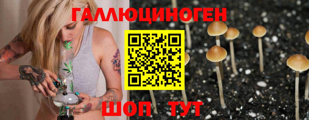 Псилоцибиновые грибы MAGIC MUSHROOMS  Галлюциногенные грибы GOLDEN TEACHER  Стрежевой  Вход с VPN 